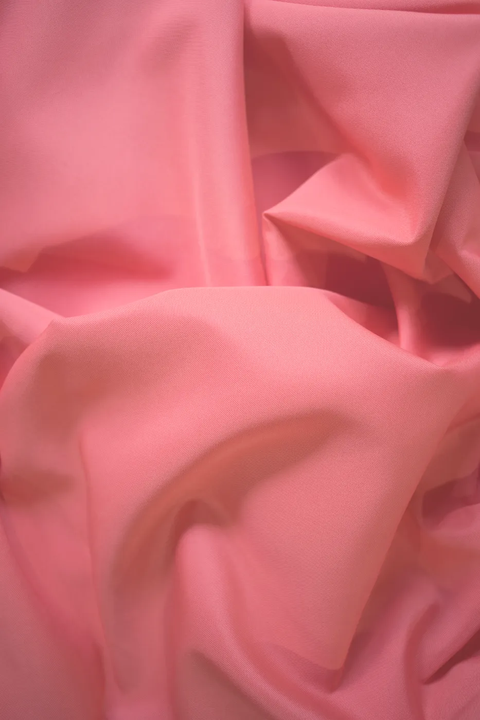 Coral Poly