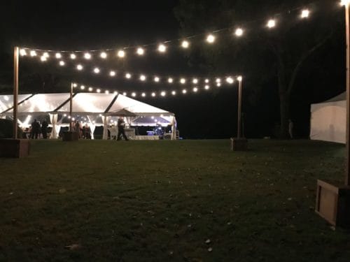 Freestanding Black Edison String Lighting