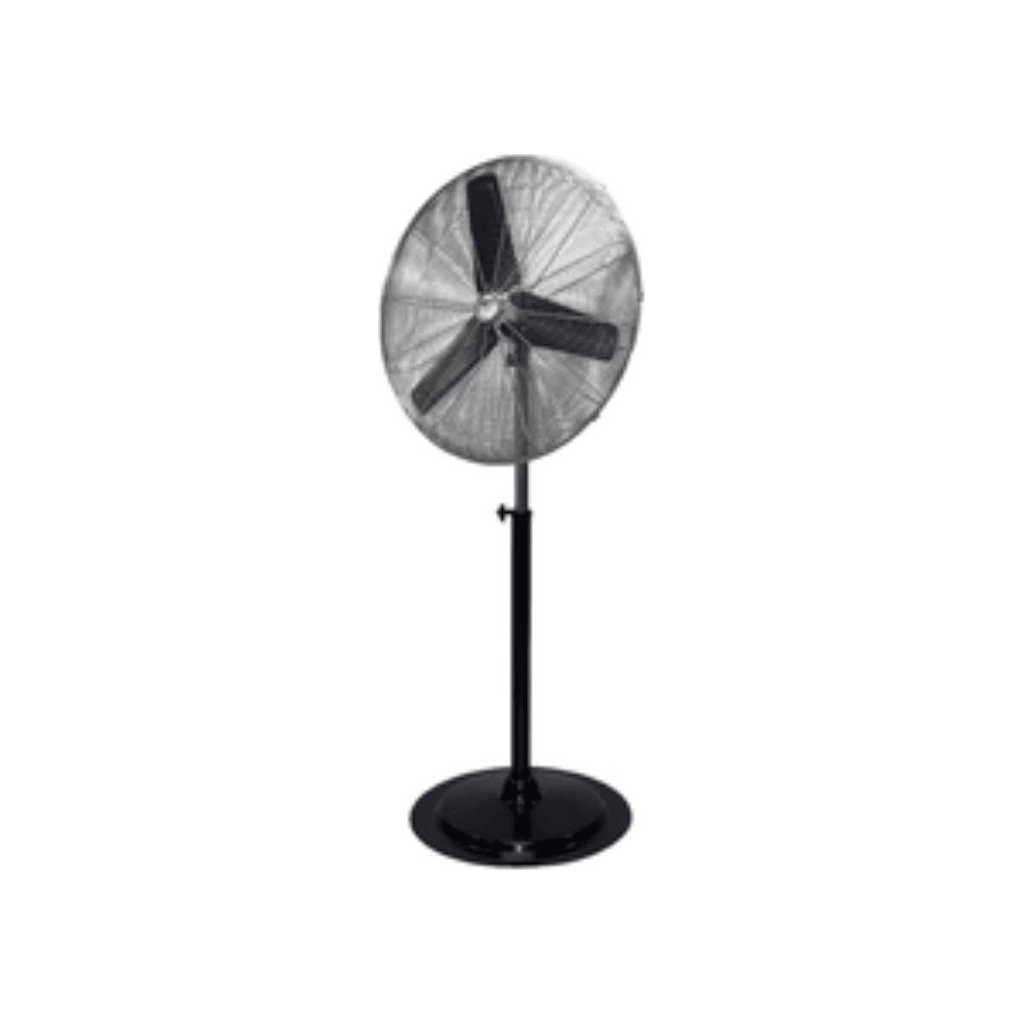 Pedestal Fan